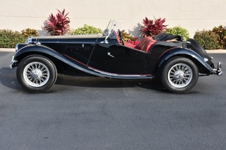 1954 MG TD TF Roadster - car, mg, old-timer, roadster, tf, td