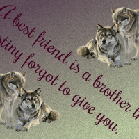 BEST FRIEND..BROTHER
