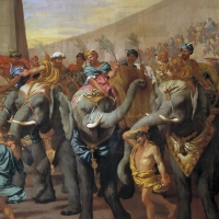 Elephants