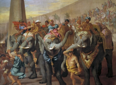 Elephants - people, painting, elephant, art, luminos, man, pictura, circus, andrea di leone