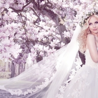 Beautiful bride under magnolia tree