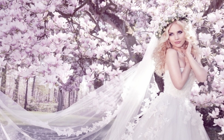 Beautiful bride under magnolia tree - woman, girl, bride, model, spring, white, pink, magnolia, tree, flower