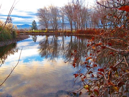 reflected beauty - sky, lake, reflection, clouds, trees