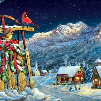 Cardinals Holiday F