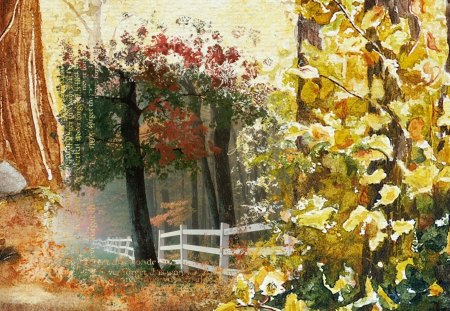 Fall Collage 28