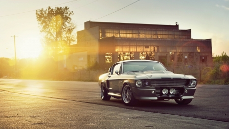 ford mustang shelby gt500