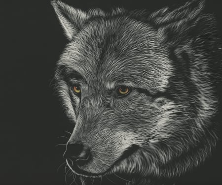 Wolf - wolf, art, draw, lup, animal, black