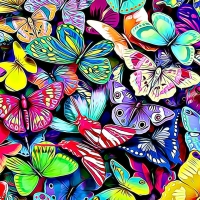 BUTTERFLIES GALORE