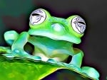 GREEN FROG