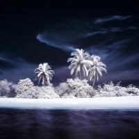 Winter island