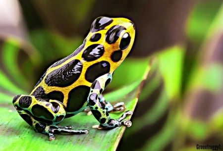 POISON DART FROG - FRACTAL, ABSTRACT, POISON, FROG