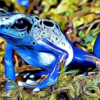 BLUE FROG