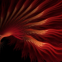 Dark Red Wing