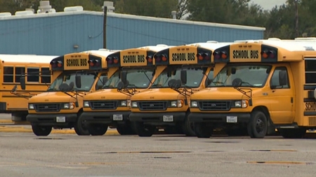 School Buses - Transport, Yellow, School, Buses