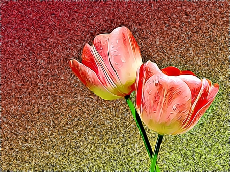 CARD C - TULIPS, CARD, FRACTAL, ABSTRACT