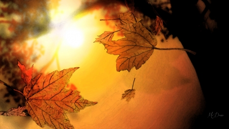 Fall Fresco - sky, fall, leaves, firefox persona theme, sunset, sunrise, sunshine, autumn