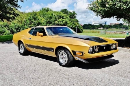 1973 Ford Mustang Mach 1 - car, muscle, mustang, old-timer, ford, mach 1