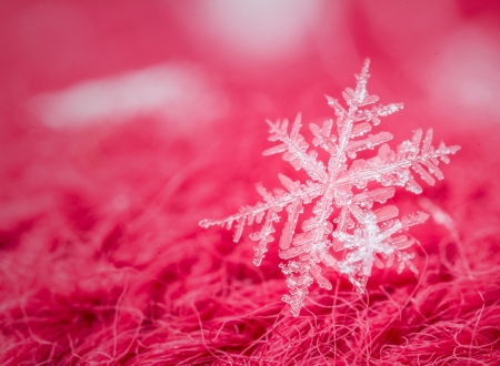 Snowflake - white, fulg de nea, snowflake, pink, winter