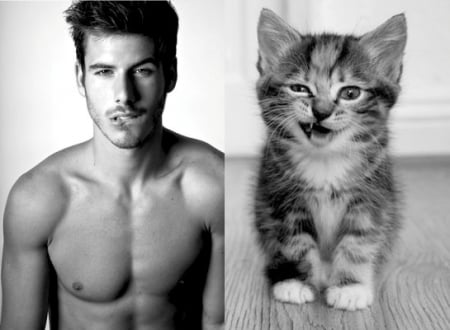 :-) - collage, man, cat, black, pisica, white, animal, kitten, funny, bw