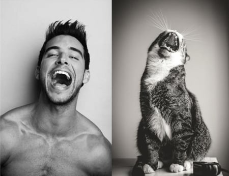 :-) - collage, lol, man, cat, laugh, black, pisica, smile, white, animal, funny, bw