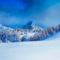 Winter in the Austrian Alps