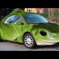 Frog Car