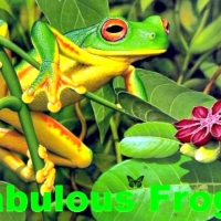 Amazing Frogs