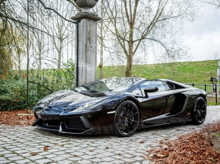 2014 Lamborghini Aventador LP 700-4 Roadster 6.5 V12 - sports, lamborghini, lp 700-4, car, roadster, v12, aventador