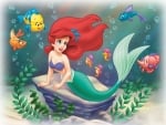 Ariel