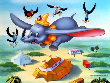 Dumbo - bird, blue, dumbo, flying, orange, tent, elephant, movie, cute, disney, circus