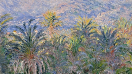 Palm trees at Bordighera - painting, bordighera, art, palm tree, luminos, pictura, summer, claude monet