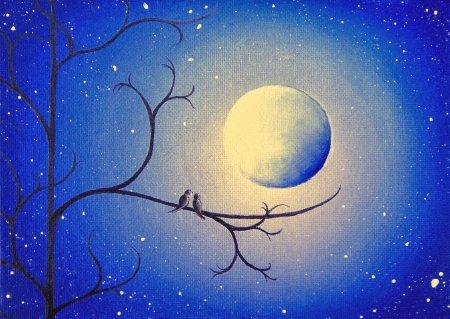 Full moon - moon, branch, blue, spring, night, stars, white, rachel bingaman, luminos, sky, luna