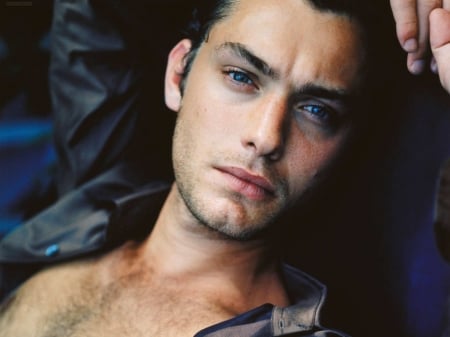 Jude Law - Jude Law, face, actor, man