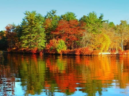 Calm Lake - calm, trees, nature, mirror, autumn, lake, forest, reflection