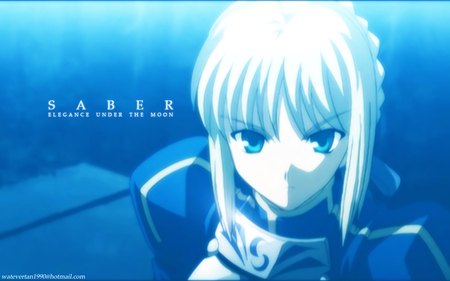 Fate Stay Night - anime