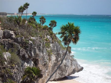 Tullum Coast - coast, beach, tullum, mexico, ocean, palm tree