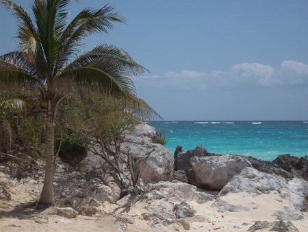 mexican beach tullum - mexico, rock city, beach, tullum, palm tree