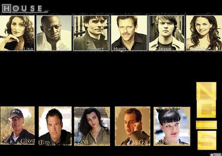 A wallpaper of House Md and NCIS - house md ncis hugh laurie gibbs dinozzo