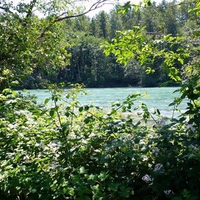 Skagit River