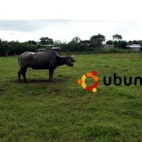 Ubuntu-16-WallPaper