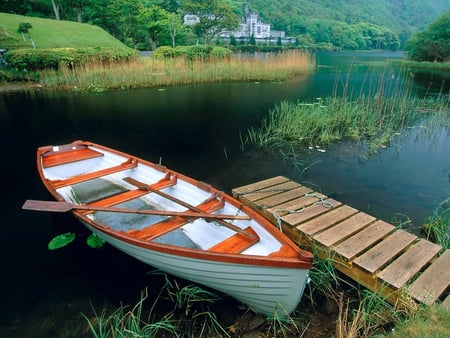 Take me there - river, row, nature, boat, serene, peaceful, ireland