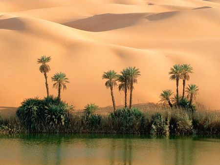 Oasis: Ouem El Ma Lake  - lake, sky, oasis, palms, water, palm, nature, forest, cloud, desert, rock, tree, grass, deserts