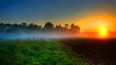 Green+Mist Sunset - beauty, breezing, cool