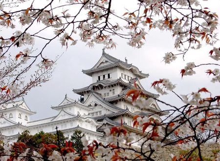 Asia - flowers, house, trees, japan, white