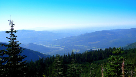 The Valley Below - widescreen, trees, forest, washington, valley, mountain, sky