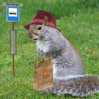 Bus Stop Squirrel