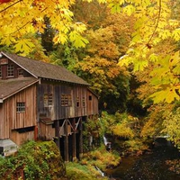 HOUSE IN THE  MOUNTAIN