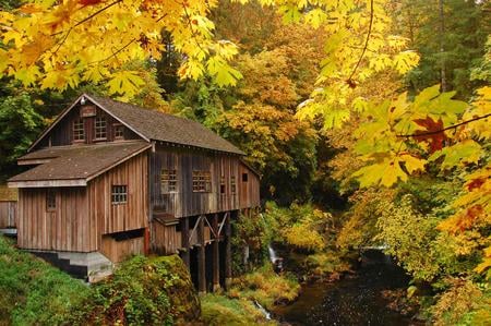 HOUSE IN THE  MOUNTAIN - house, maple, golden