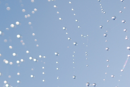 Dew drops on a web - due, spiders, web, drops