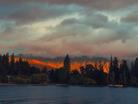 New Zealand - Queenstown - trees, sunset, island, ocean, new zealand